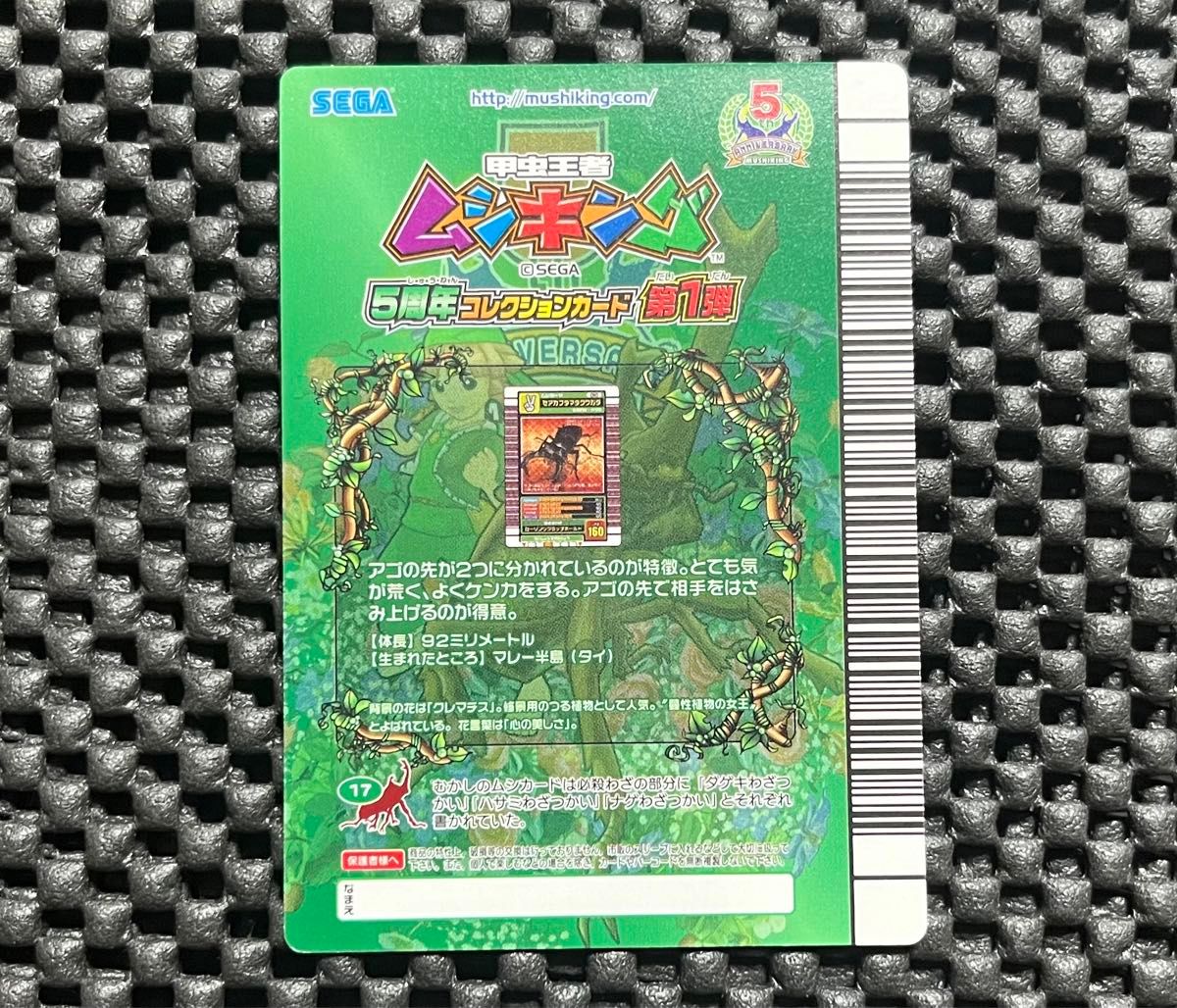 ムシキング 5周年 セアカフタマタクワガタ|Yahoo!フリマ(旧 ムシキング 5周年 セアカフタマタクワガタ|Yahoo!フリマ(旧