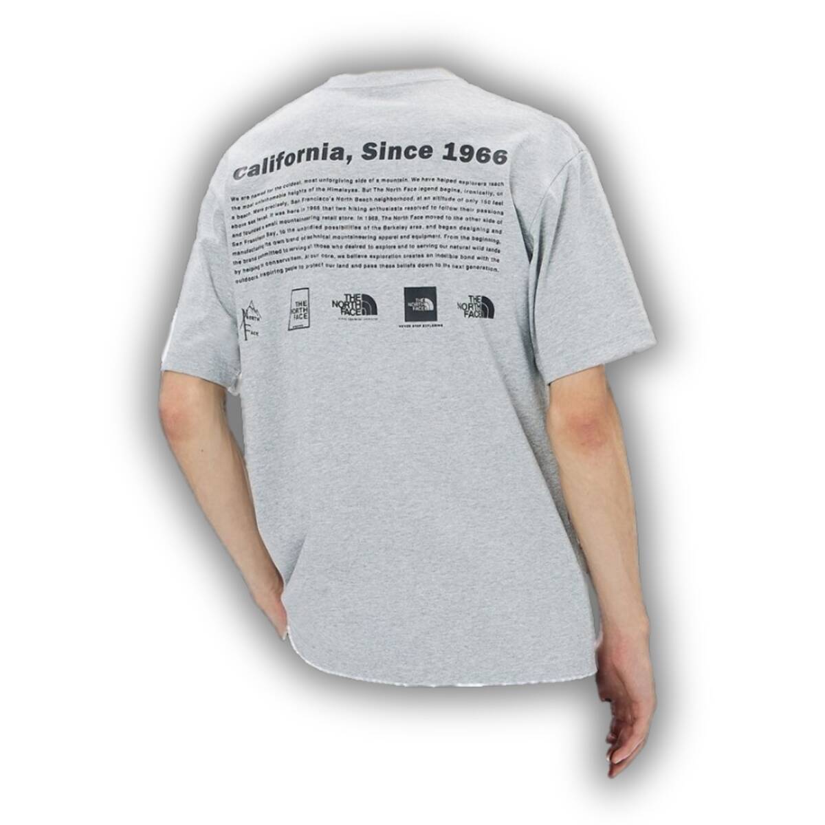 即決☆ノースフェイス 歴代 ロゴ 半袖 Tシャツ GRY/Lサイズ 送料込み グレー 灰色 ヒストリカル_画像3