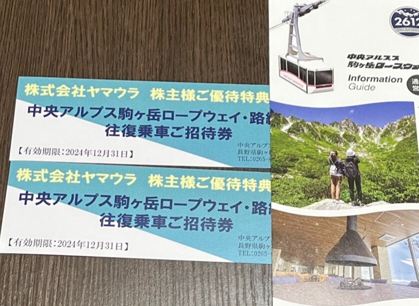 ◆中央アルプス 駒ヶ岳ロープウェイ・路線バス往復乗車券 ２枚セット　１２月末まで　　ヤマウラ優待◆_画像1