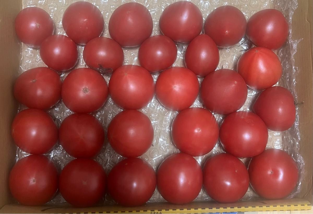 6限定特売♪愛知県産　高糖度フルーツトマト　1kg