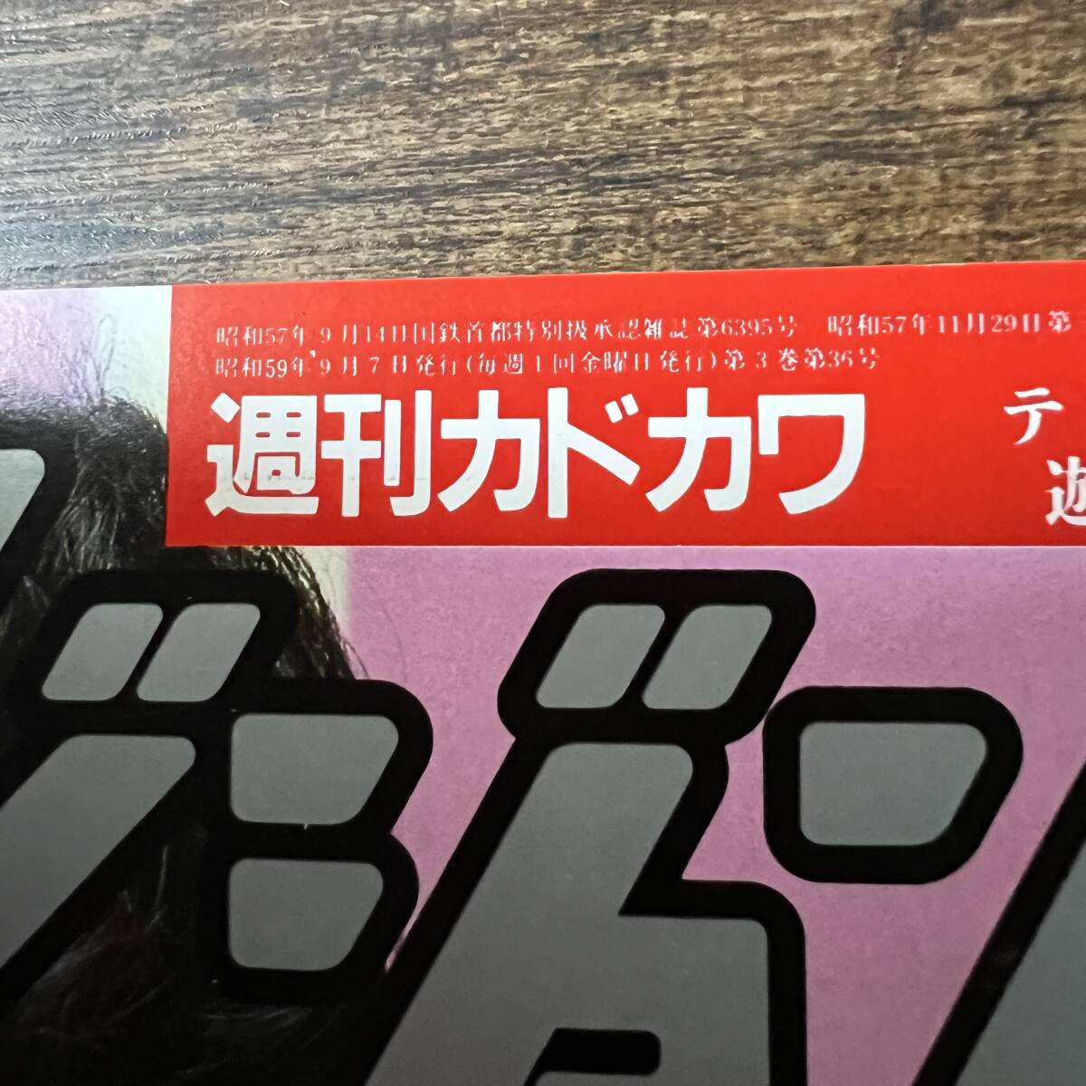 K-3232■ザ・テレビジョン 昭和59年9月7日発行（週刊カドカワ）■テレビ番組表 創刊100号記念■角川書店■_画像6