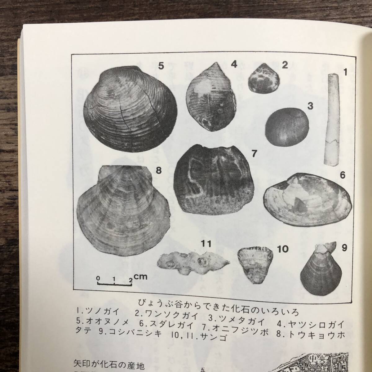 K-3548■上越の大地をさぐる■高田平野団体研究グループ 新潟県上越市■上越新聞社■(1987年)昭和62年7月12日第4刷_画像9