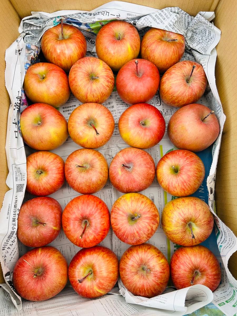 GWセール!安い！ふじりんご約9キロ サンふじ 家庭用サンふじ りんご