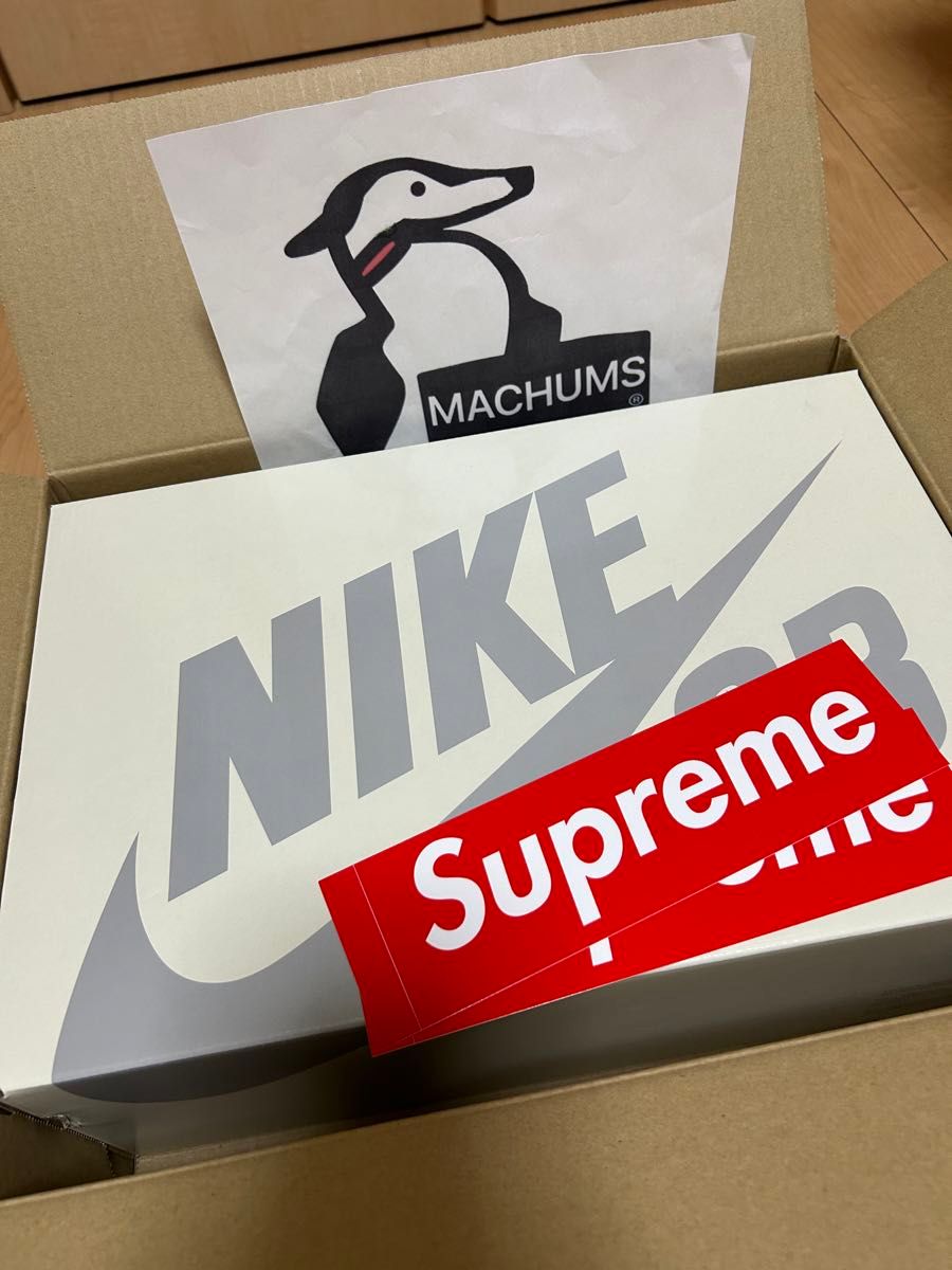 Supreme Nike SB Darwin Low Black 28cm