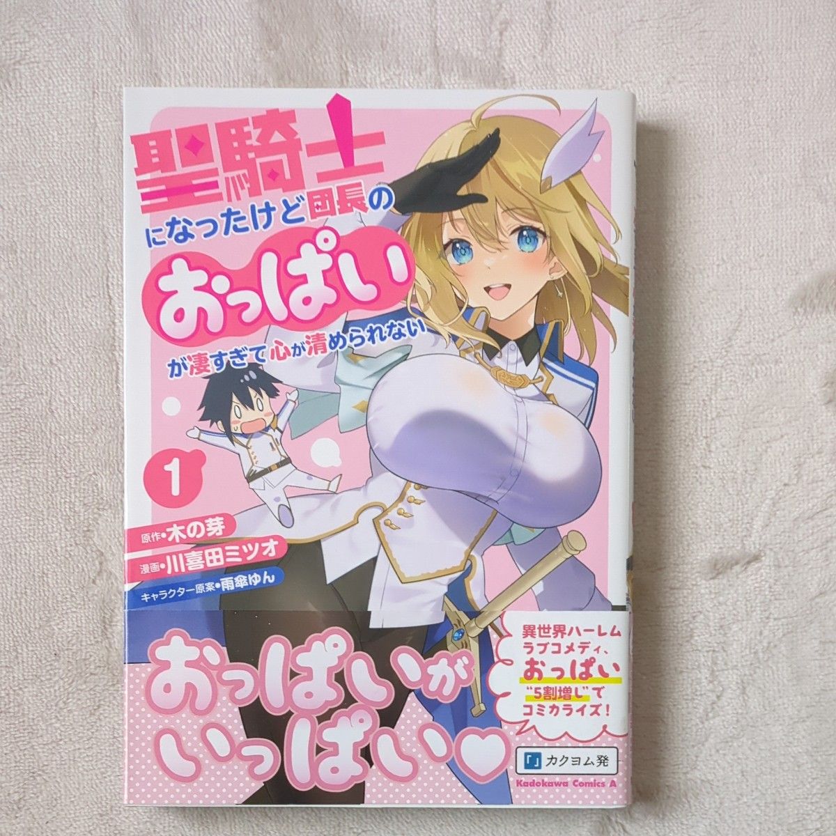 聖騎士になったけど団長のおっぱいが凄すぎて心が清められない　１〜３巻（初版帯付き）