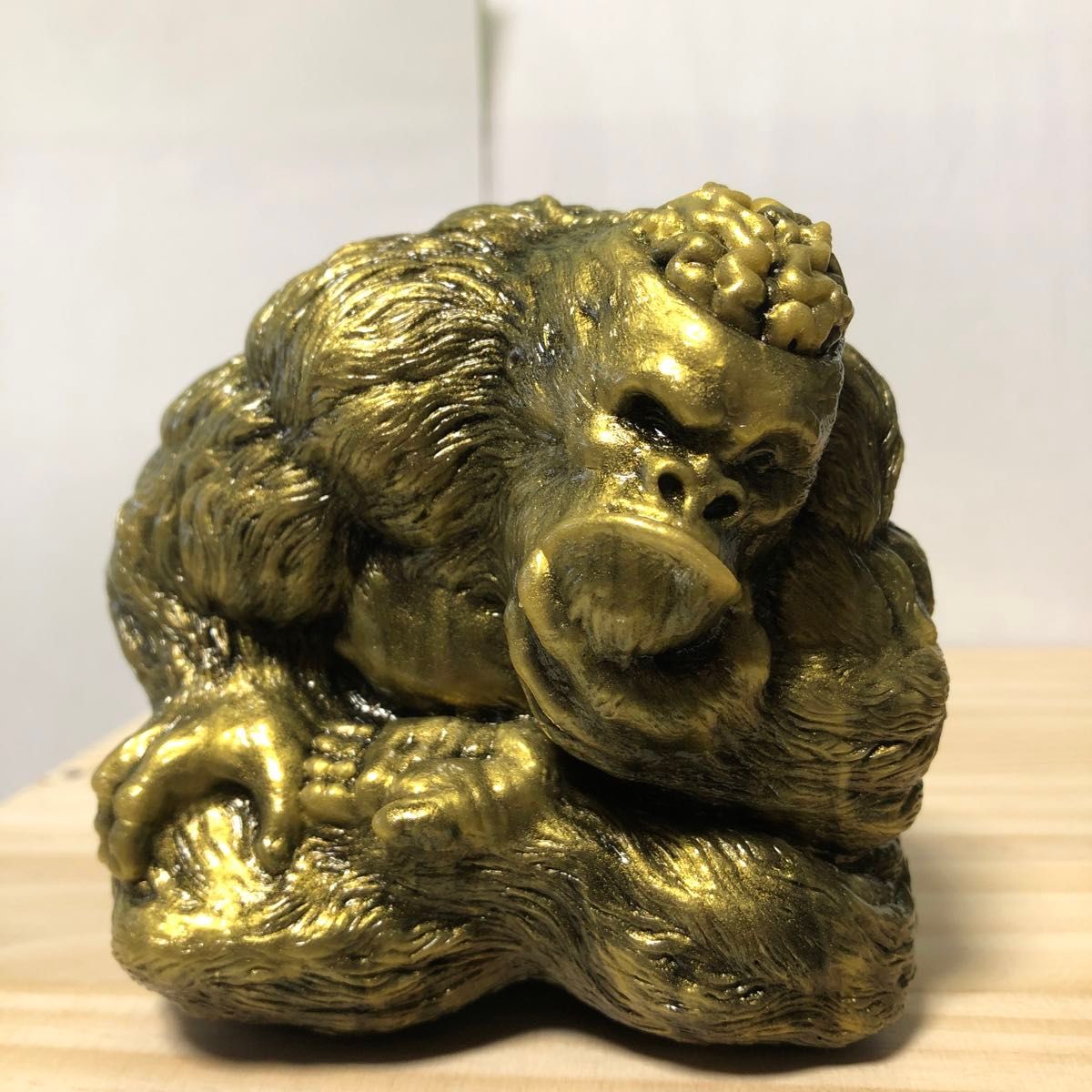 MOUCOYAMA Electronic Brain Gorilla もうこやま 電脳ゴリラ MOUCOYAMA Electronic Brain Gorilla もうこやま 電脳ゴリラ
