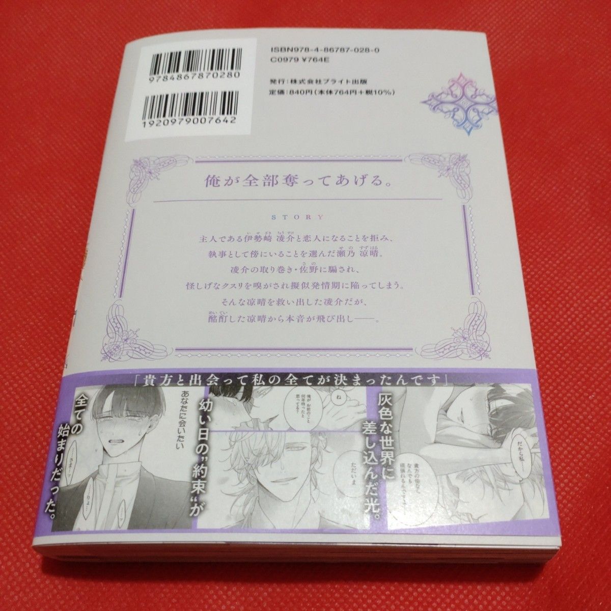 憐れなβは恋を知らない 3 アニメイト 小冊子 リーフレット ぺー 憐れなβは恋を知らない 3 アニメイト 小冊子 リーフレット ぺー