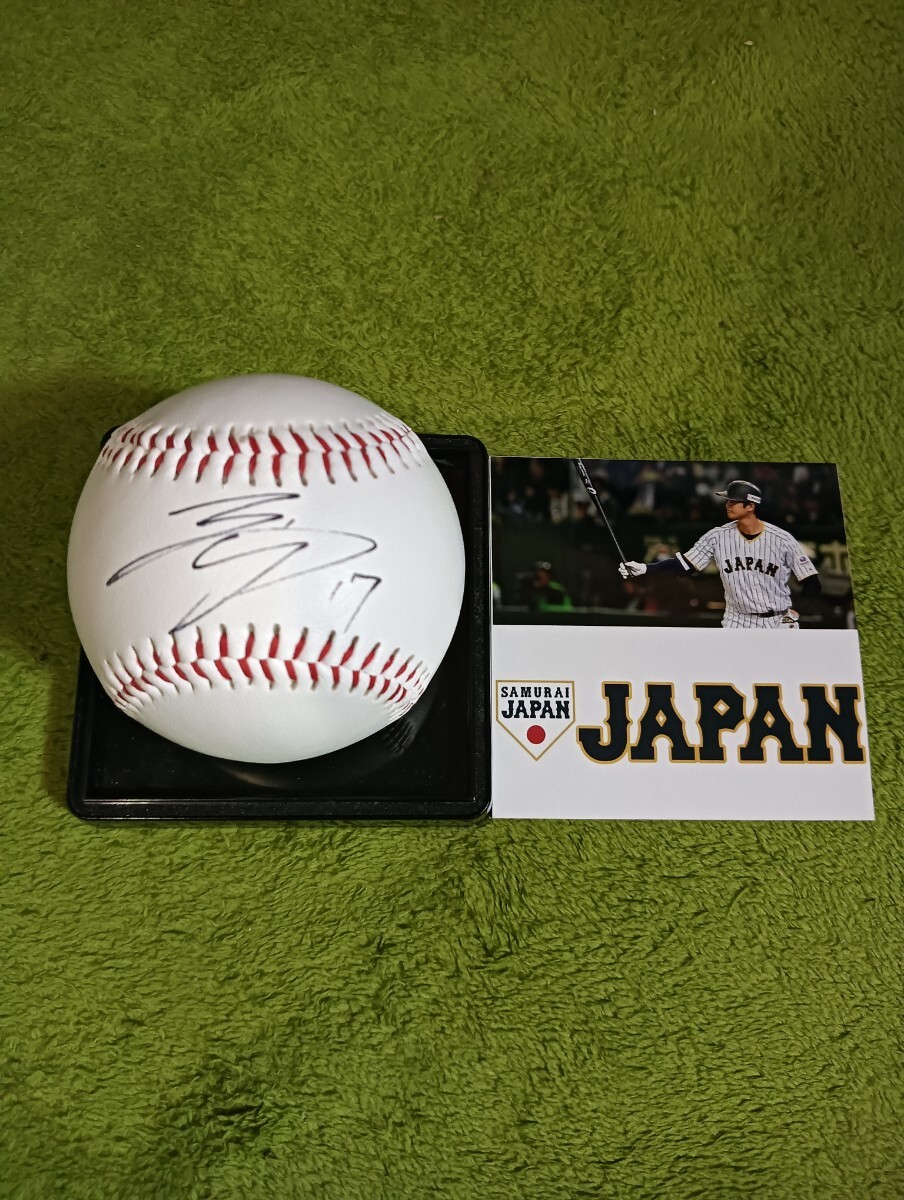 2023 World Baseball Classic MLBdoja-s samurai Japan large . sho flat player autograph autograph ball WBC