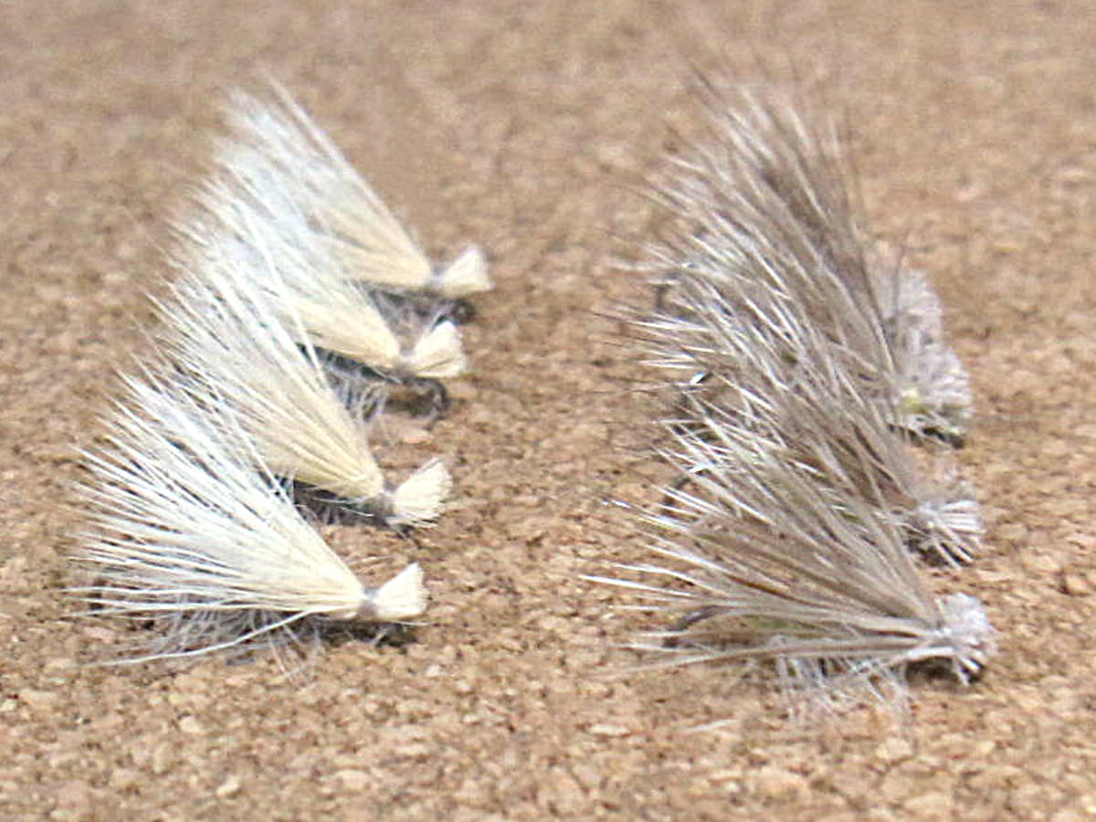  dry fly elk волосы katis#16BL 8 шт 
