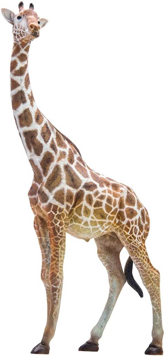 PNSO 動物園 成長シリーズ キリン 野生動物 リアル フィギュア PVC プラモデル おもちゃ 模型 動物好き 誕生日 プレゼント_画像1