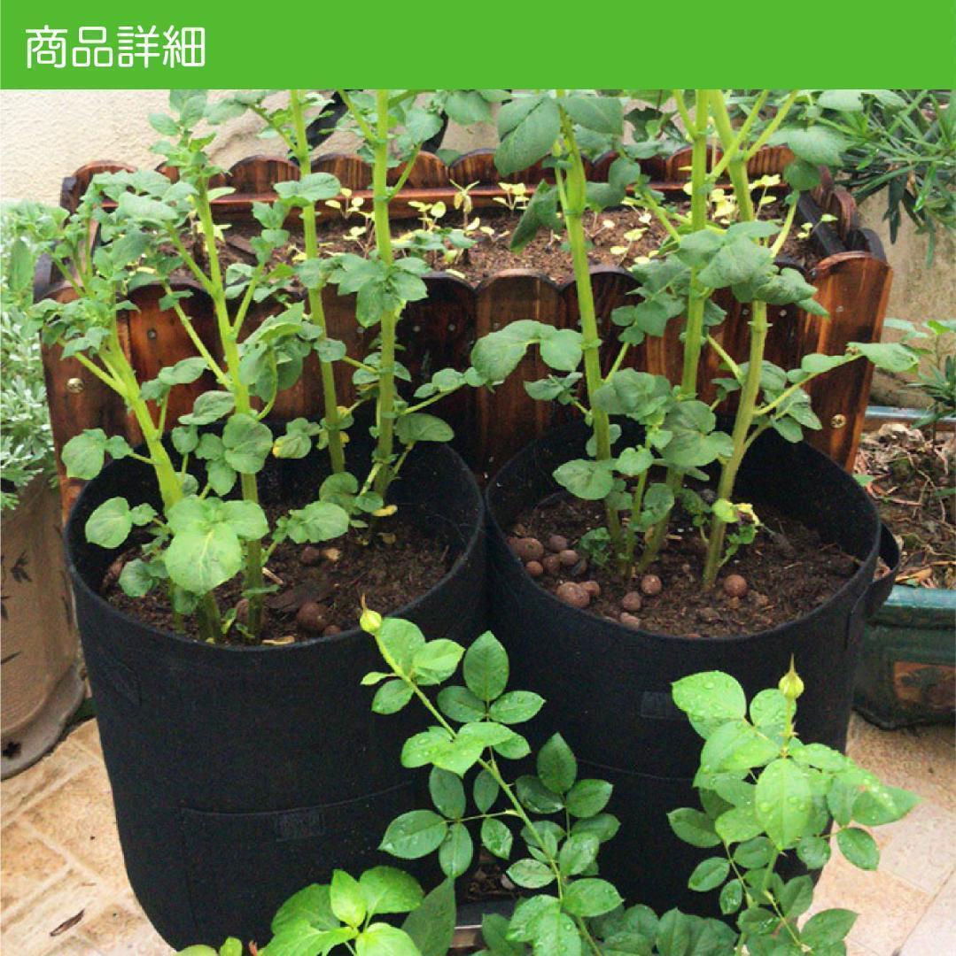 2 set non-woven planter pot green green vegetable kitchen garden gardening potted plant planter 2