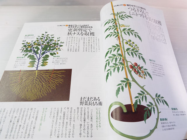 やさい畑 2013年 夏号 夏の菜園カレンダー 夏野菜のおどろき活用術 _画像3