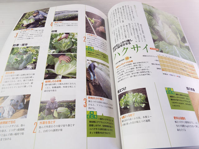 やさい畑 2013年 夏号 夏の菜園カレンダー 夏野菜のおどろき活用術 _画像7