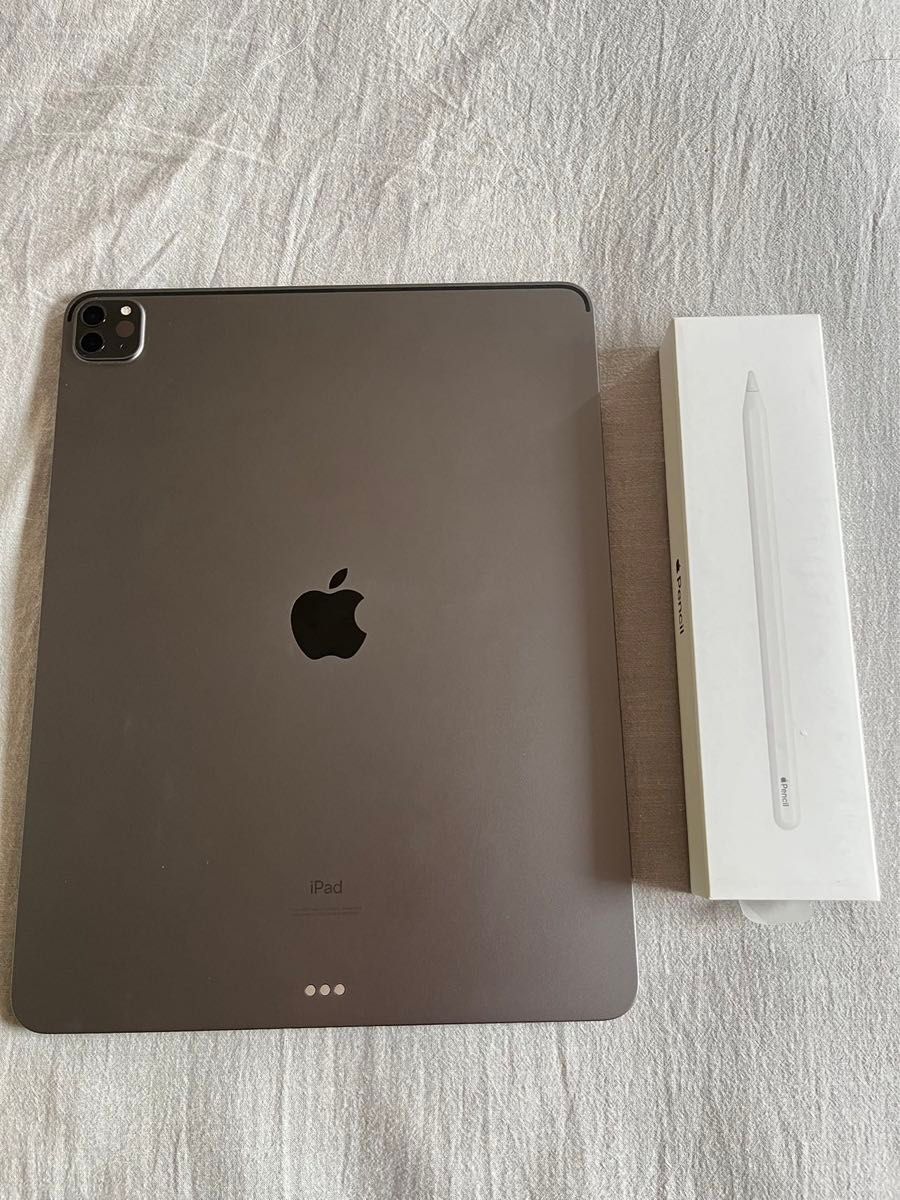 美品 iPad Pro 12 9インチ第5世代 wifi版 128GBスペースグレイ 美品 iPad Pro 12 9インチ第5世代 wifi版 128GBスペースグレイ