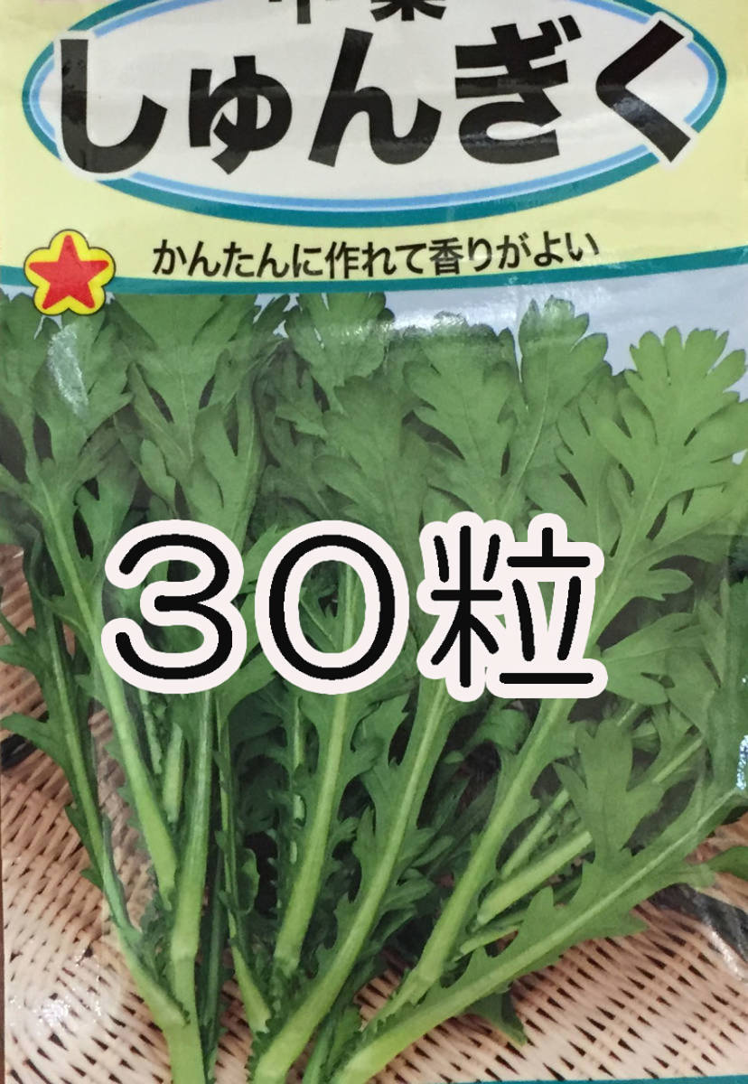 春菊　30粒　種　種子　　野菜　　家庭菜園_画像1