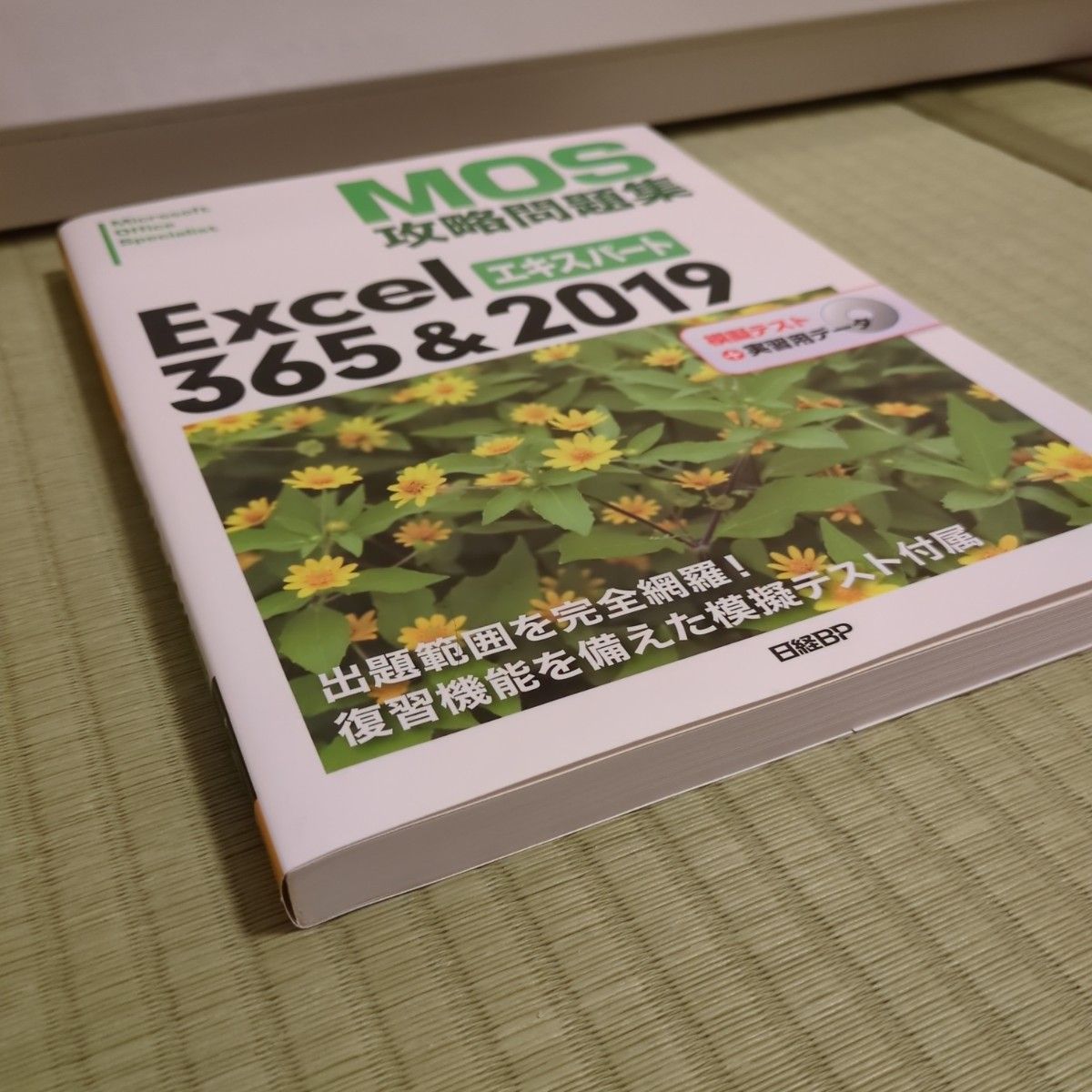 ＭＯＳ攻略問題集Ｅｘｃｅｌ　３６５＆２０１９エキスパート　Ｍｉｃｒｏｓｏｆｔ　Ｏｆｆｉｃｅ　Ｓｐｅｃｉａｌｉｓｔ 土岐順子／著