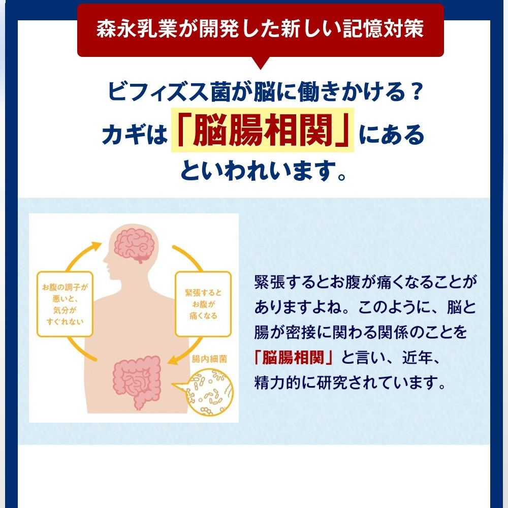 森永 メモリービフィズス 記憶対策サプリ 60カプセル 2袋分　賞味期限25年10月30日