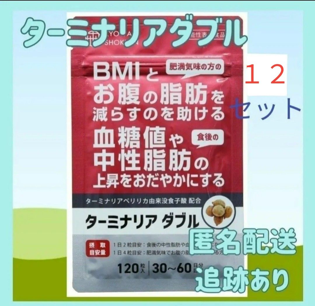 【12袋セット】ターミナリア ダブル ダイエットサプリ BMI 血糖値 中性脂肪