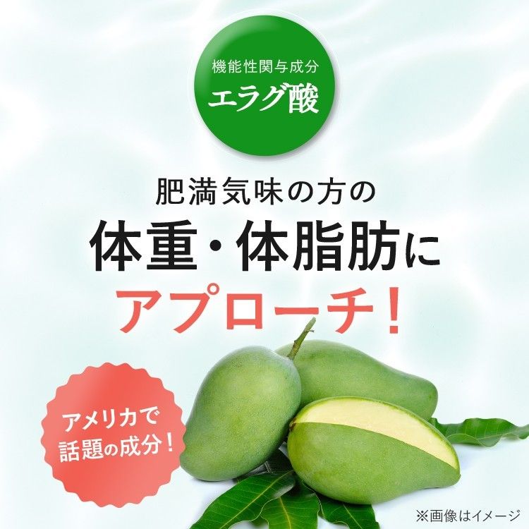 新日本製薬 Wの健康青汁 31本入×2箱　賞味期限:25年10月