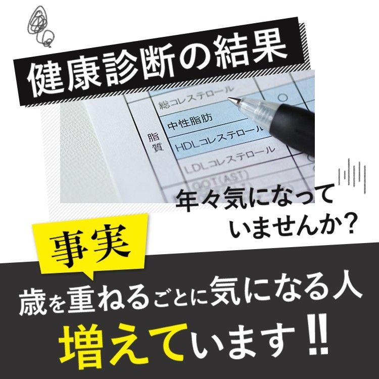 新日本製薬 Wの健康青汁 31本入×2箱　賞味期限:25年10月