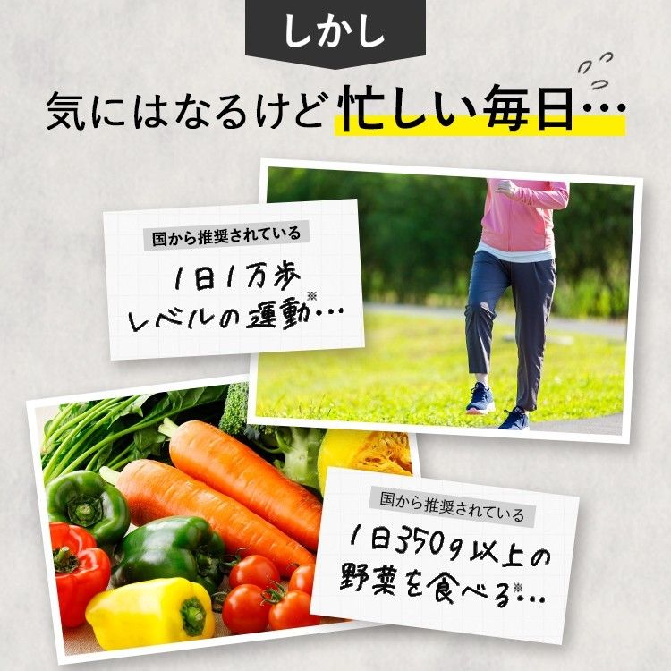 新日本製薬 Wの健康青汁 31本入×2箱　賞味期限:25年10月