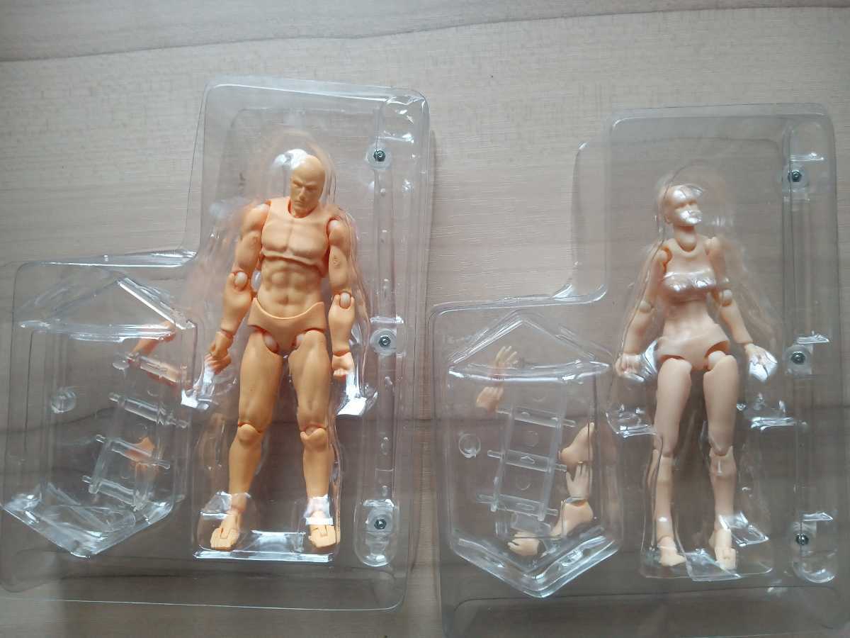 デッサンドール 男女セット台座付き 人形人体 模型 フィギュア スケッチの画像6