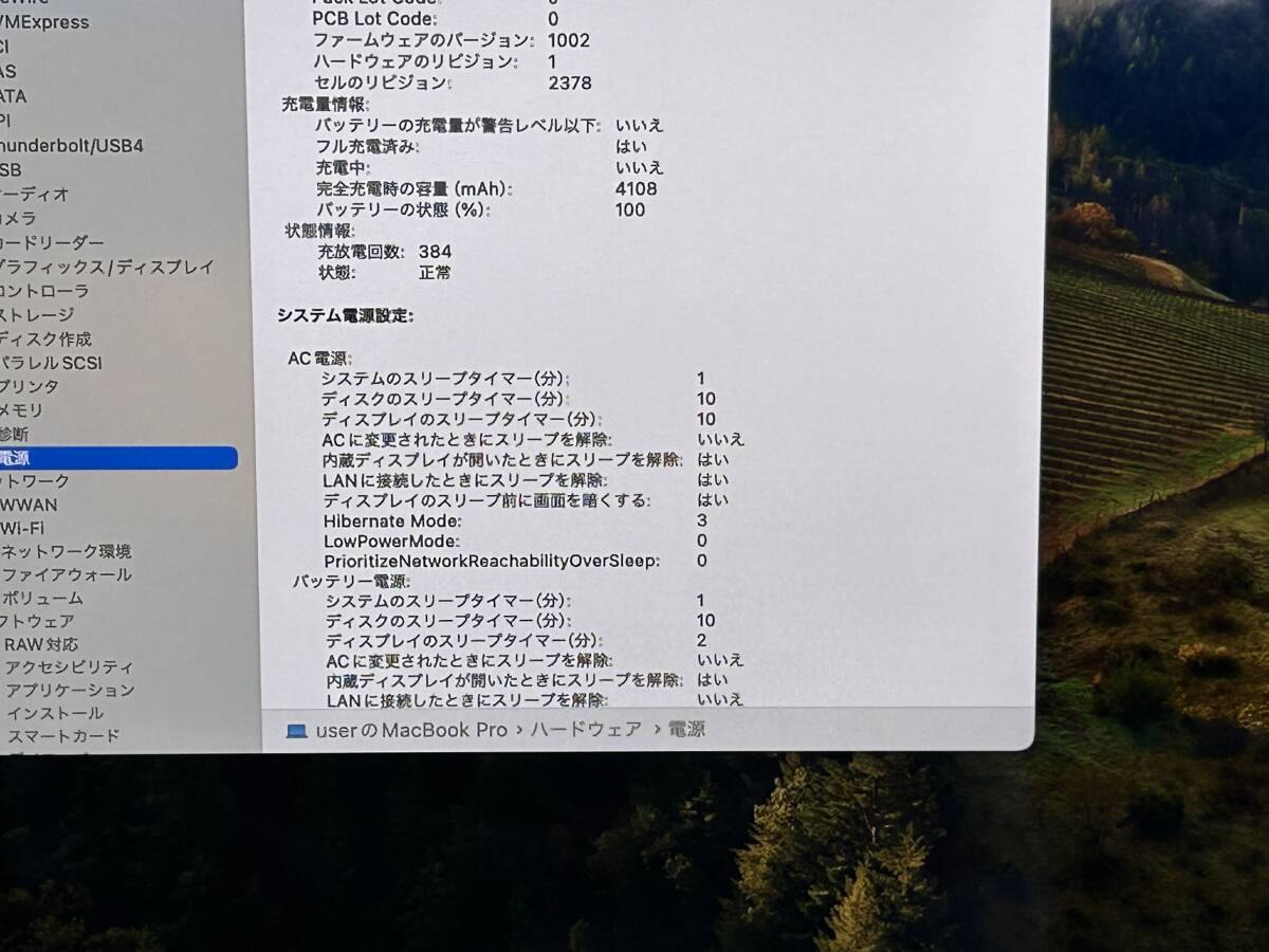 【良品 13.3インチ】Apple MacBook Pro(13-inch,2020) A2289 Core i5(8257U)/1.4GHz RAM:8GB/SSD:256GB space gray Sonoma 動作品の画像9