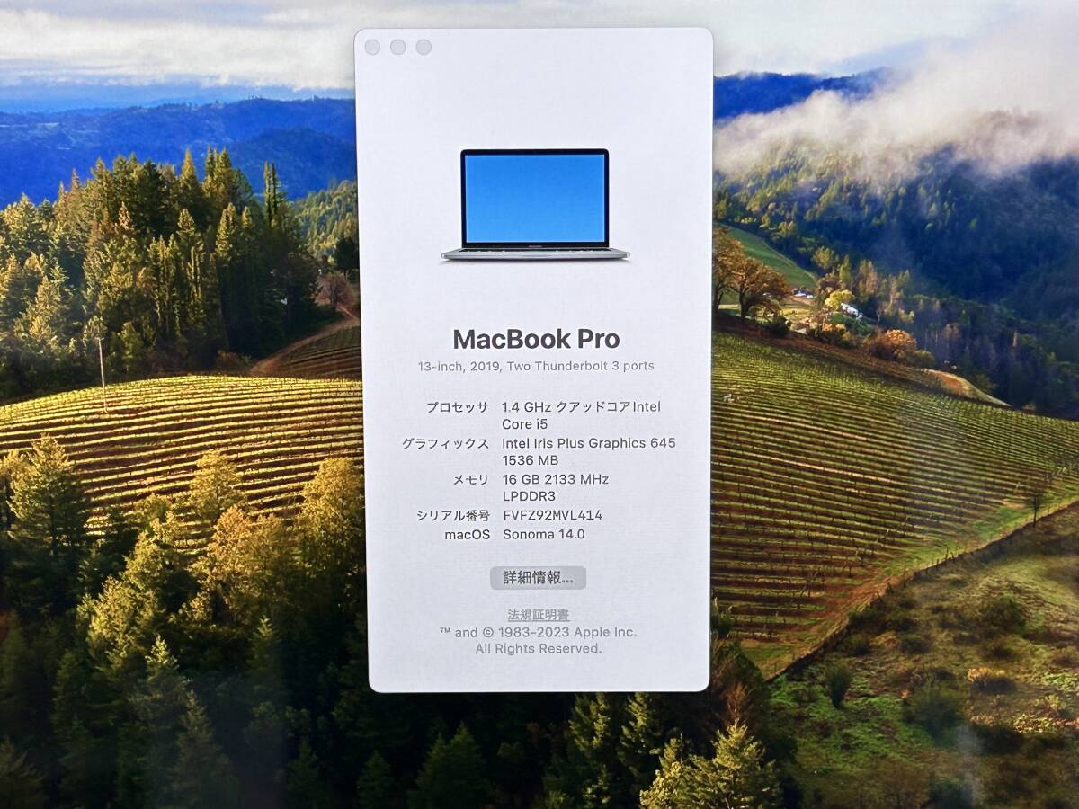 【良品 13.3インチ】Apple MacBook Pro(13-inch,2019) A2159 Core i5(8257U)/1.4GHz RAM:16GB/SSD:256GB space gray Sonoma 動作品_画像7