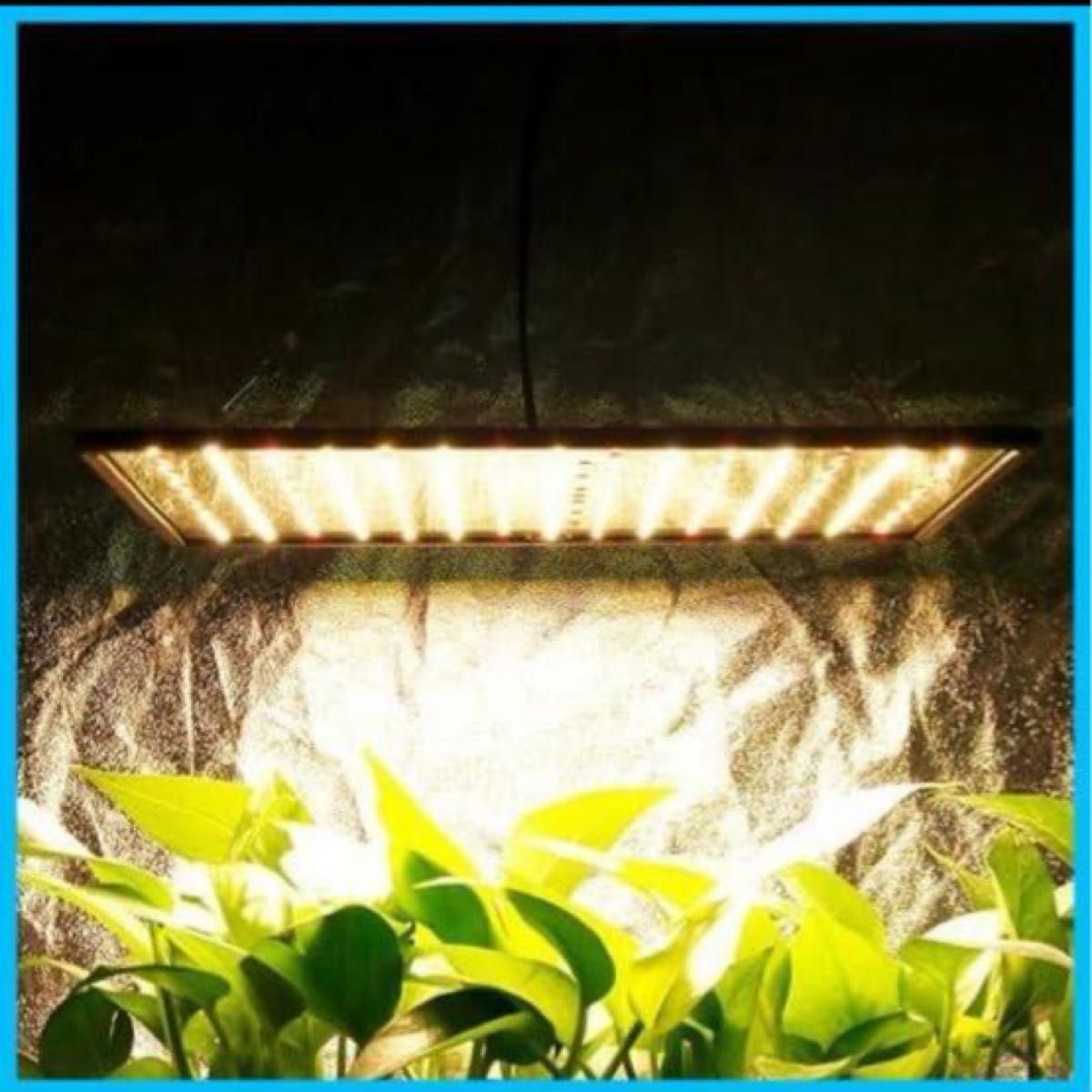 GREENSINDOOR 植物育成ライト LED 植物成長ライト 植物用ライト 育成ライト UV 高輝度 室内