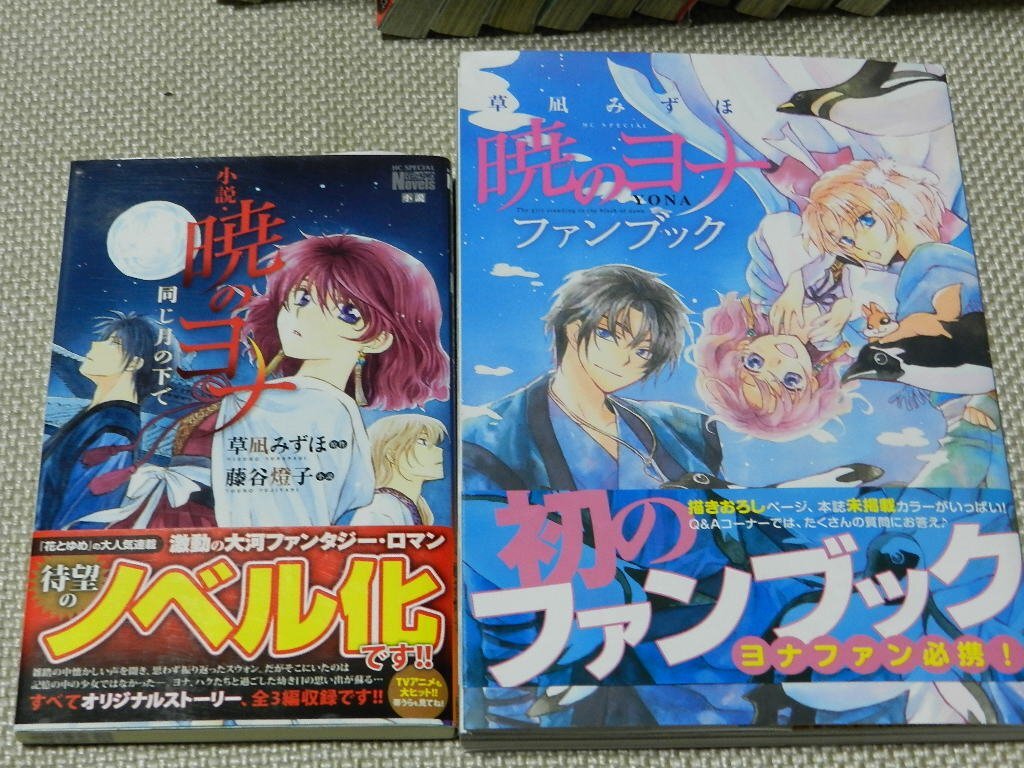 暁のヨナ　1巻～36巻+40巻　小説＆ファンブック　39冊セット　草凪みずほ　訳あり　在庫処分　白泉社_画像8