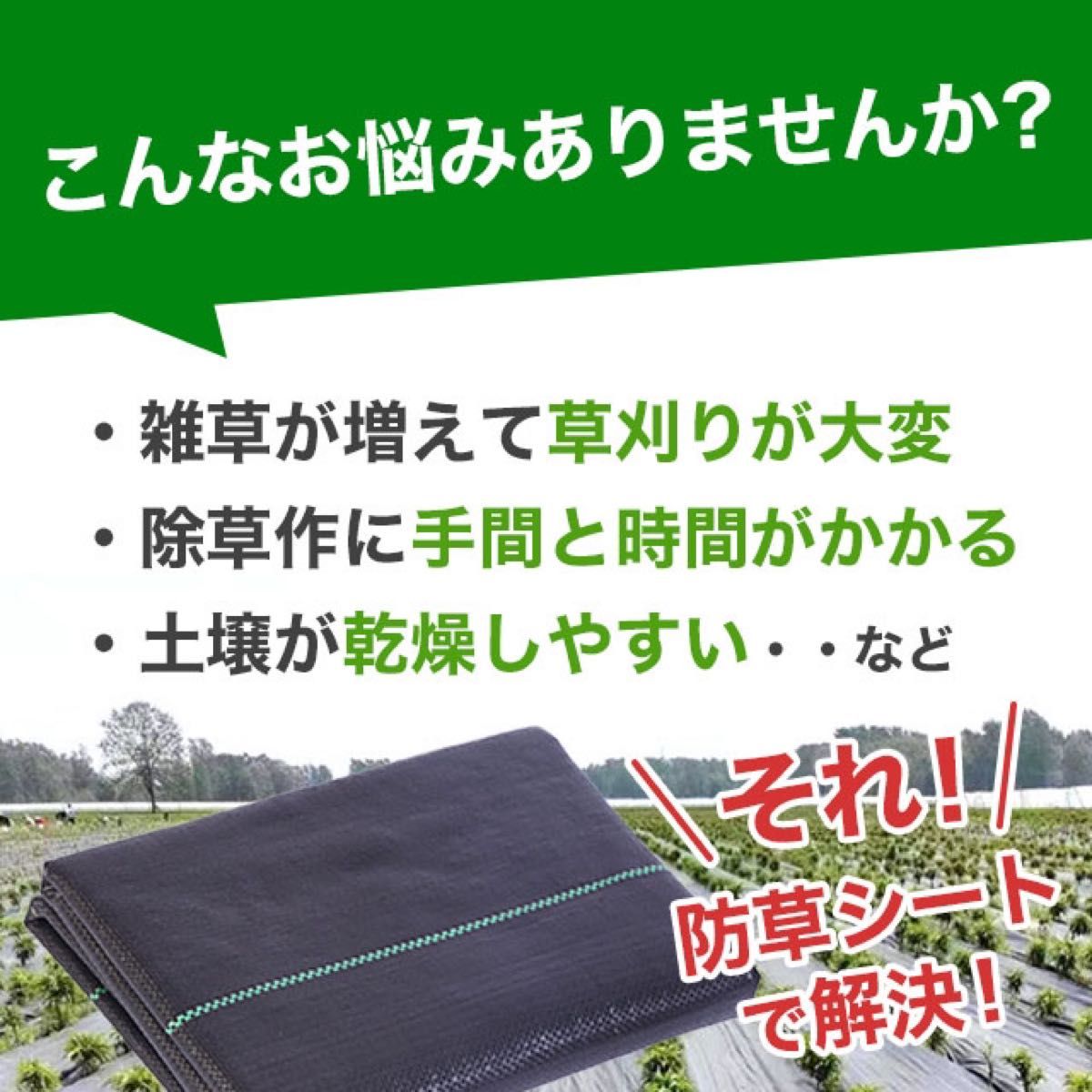 防草シート 防そうシート 除草シート 10年耐久 50M 妨草シート