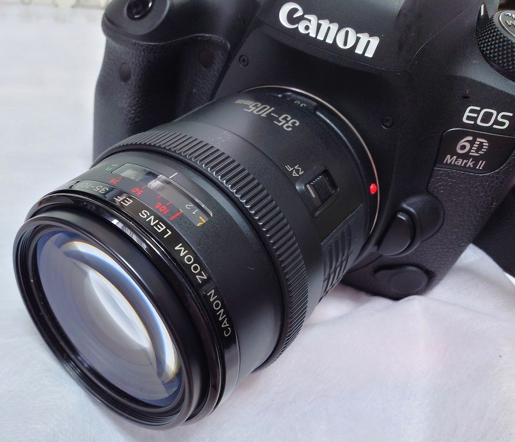 Canon EOS 6D MarkII ボディ 中古の画像9