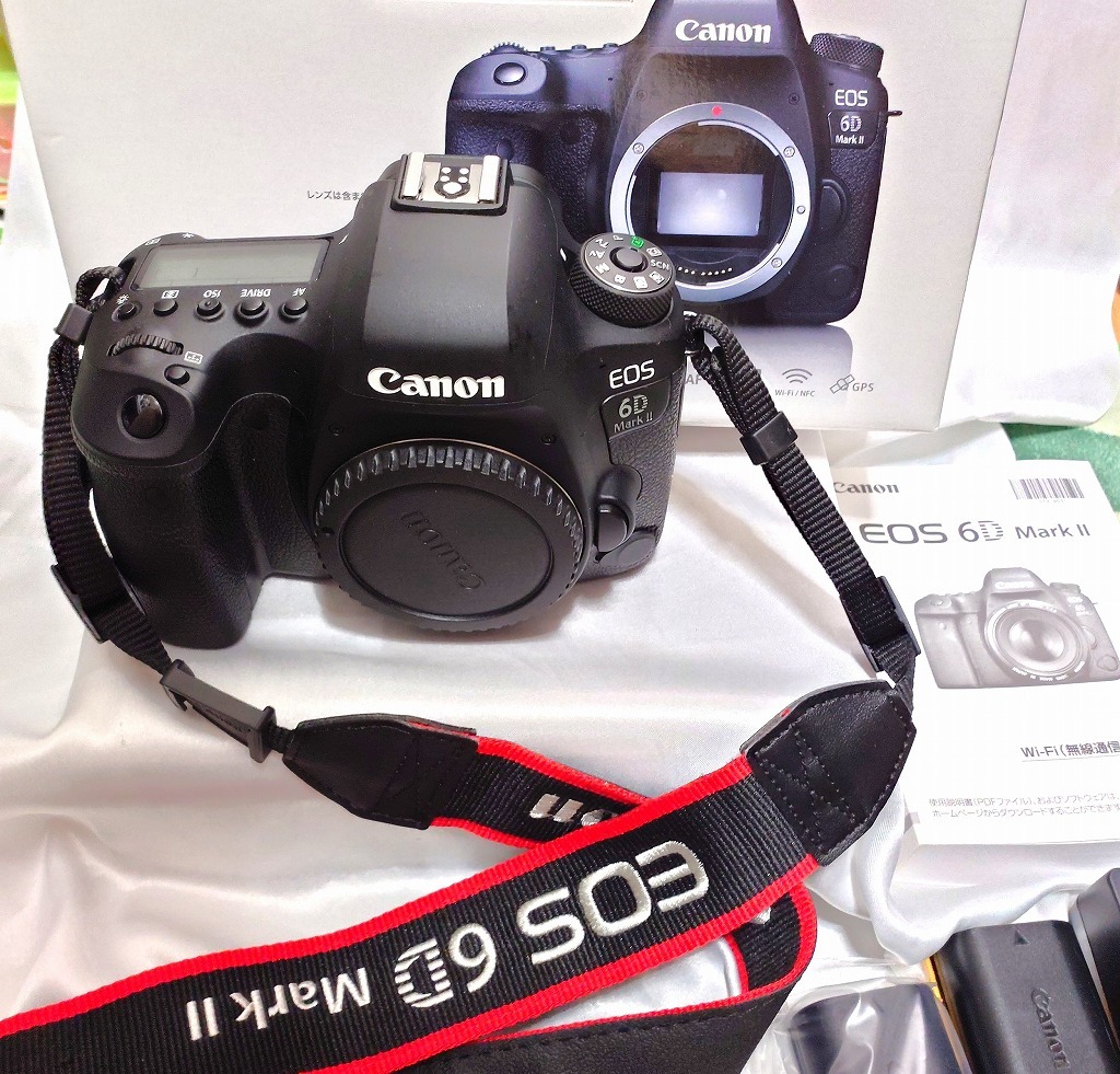 Canon EOS 6D MarkII ボディ 中古の画像1