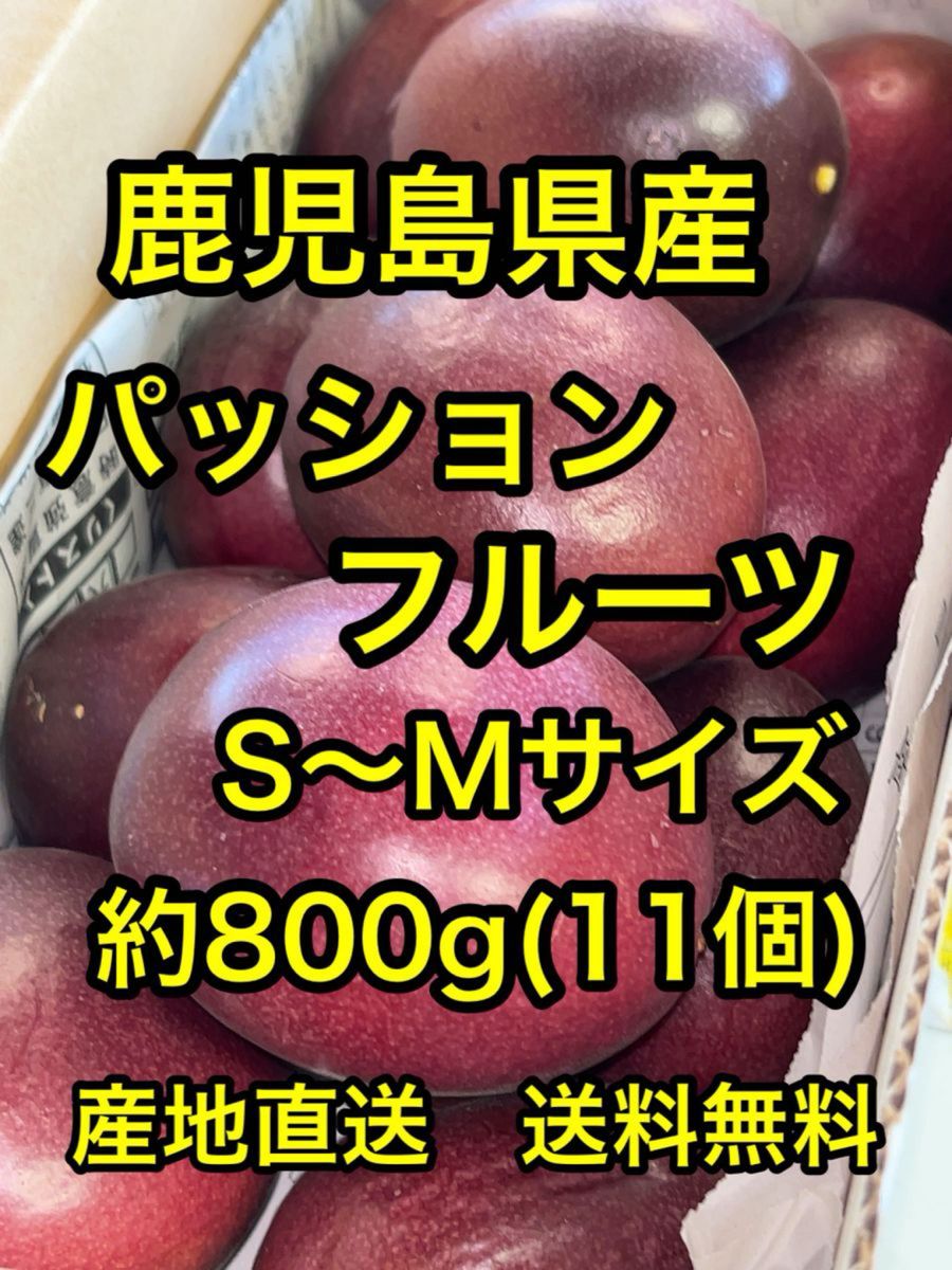 鹿児島県産　産地直送パッションフルーツA品　MSサイズ　約800g(11個)