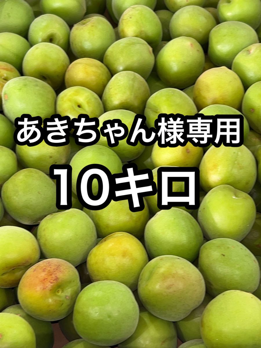 鹿児島県産　訳あり南高梅　L〜3Lサイズ　約10キロ　