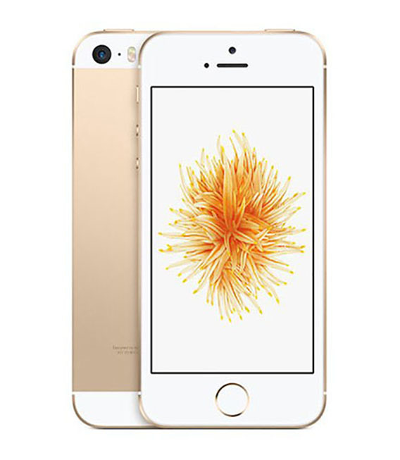 iPhoneSE[16GB] SIMロック解除 docomo ゴールド【安心保証】_画像1