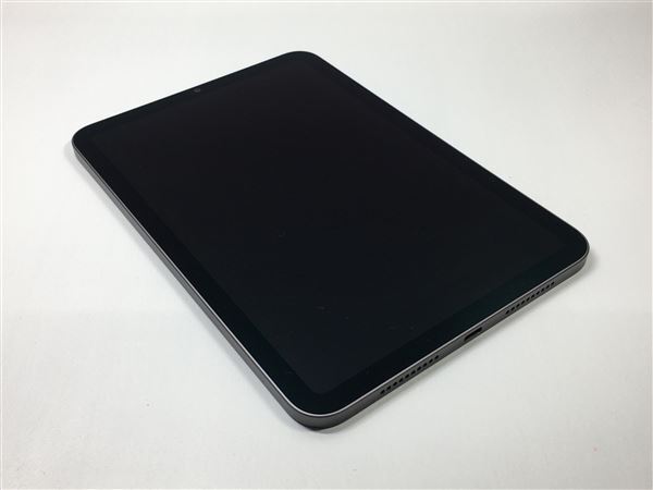 iPadmini 8.3インチ 第6世代[256GB] Wi-Fiモデル スペースグレ…_画像4