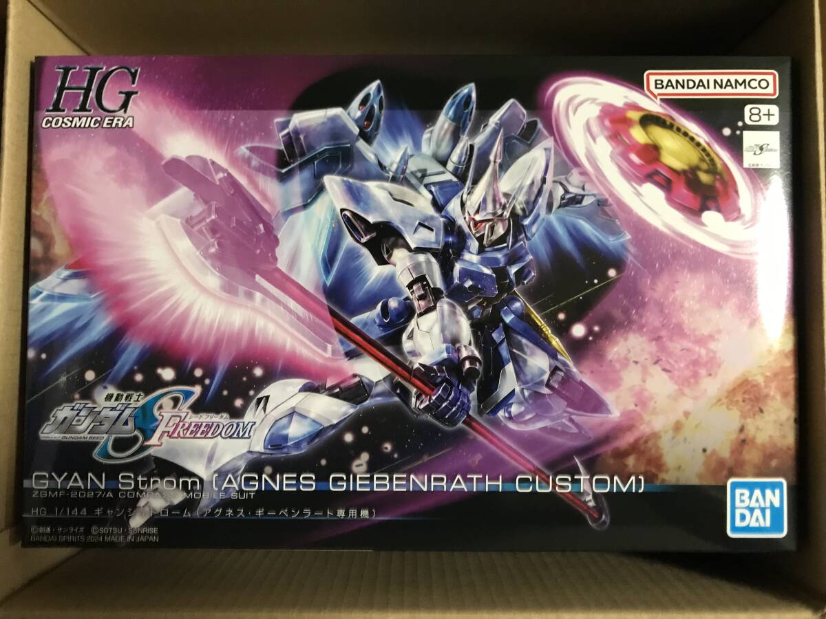 新品・未開封★ガンプラ HG 1/144 ギャンシュトローム(アグネス・ギーベンラート専用機)★検)ライジングフリーダム デスティニー ゲルググ_画像1