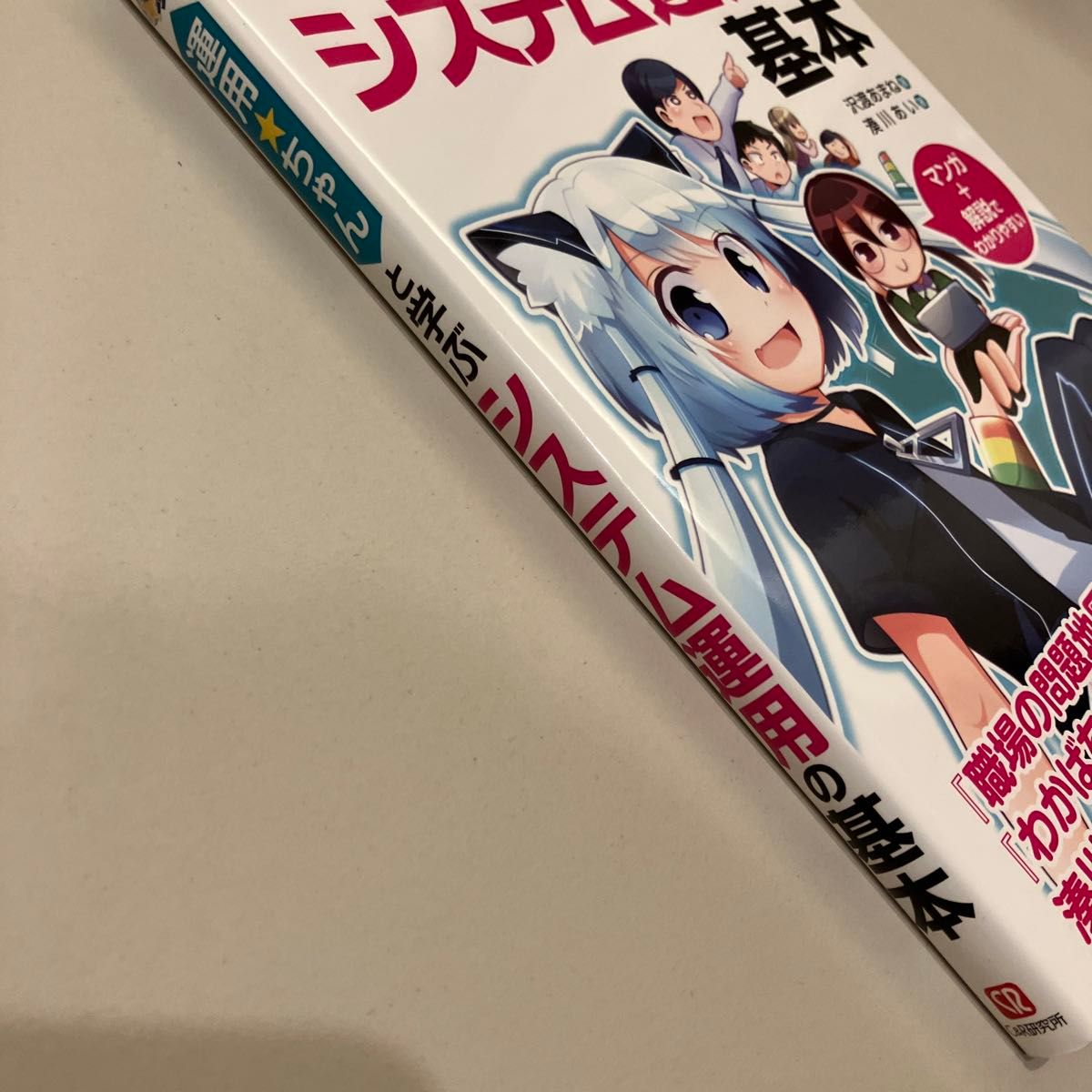 運用★ちゃんと学ぶシステム運用の基本 沢渡あまね／著　湊川あい／著