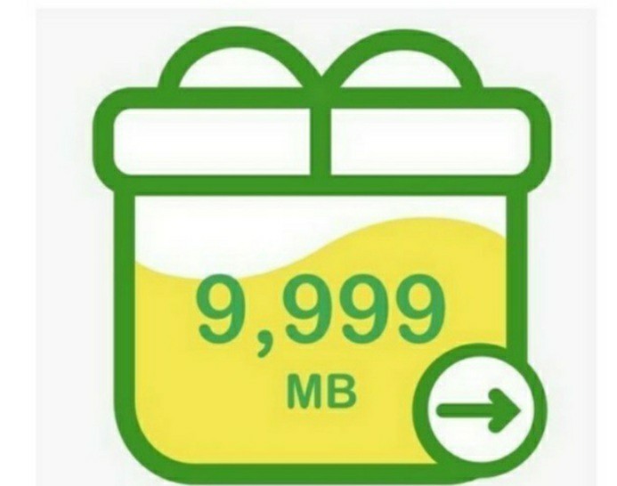 mineo マイネオ パケットギフト 約10GB（9999MB）_画像1