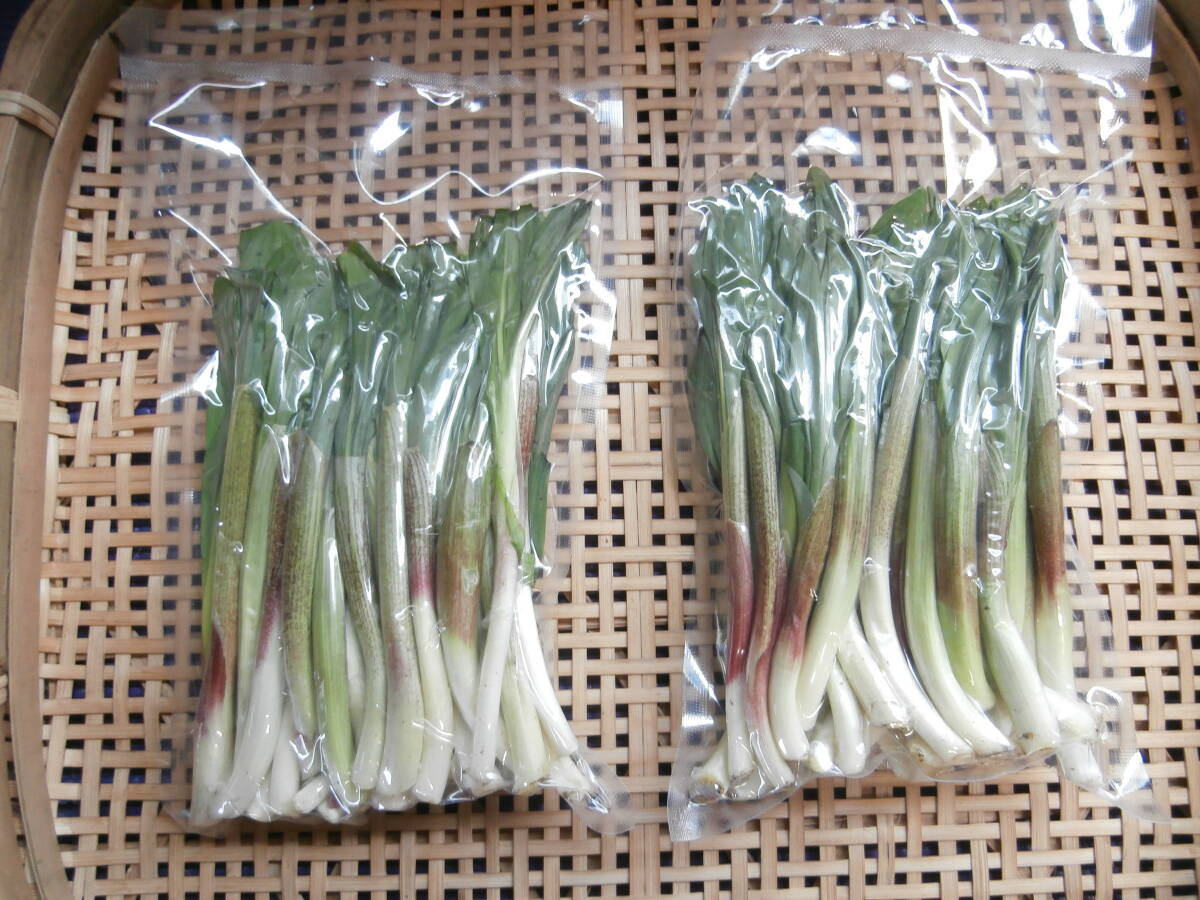  Hokkaido inside . island production, natural line person garlic raw vacuum freezing 200g entering 2 piece set!1,600 jpy! heaven .., yakiniku, gyoza. .!. bargain exhibition! remote island . person shop!