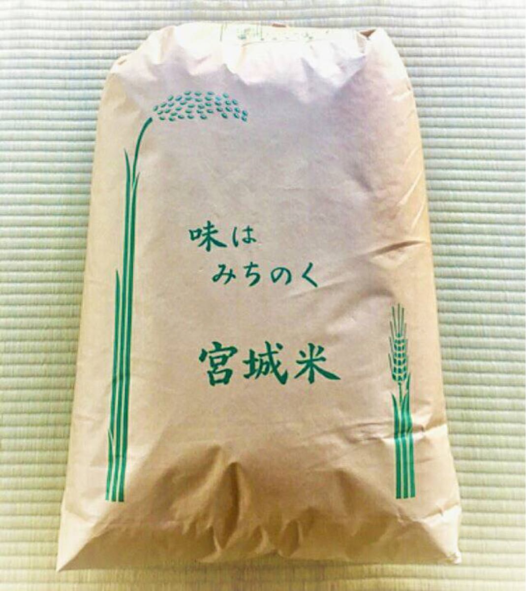 【令和5年度産】 宮城県登米市産 ひとめぼれ米 白米　30kg  ・環境保全米