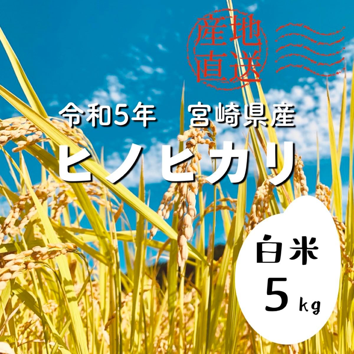 【令和5年産】白米 5kg｜宮崎県産ヒノヒカリ｜農家直送