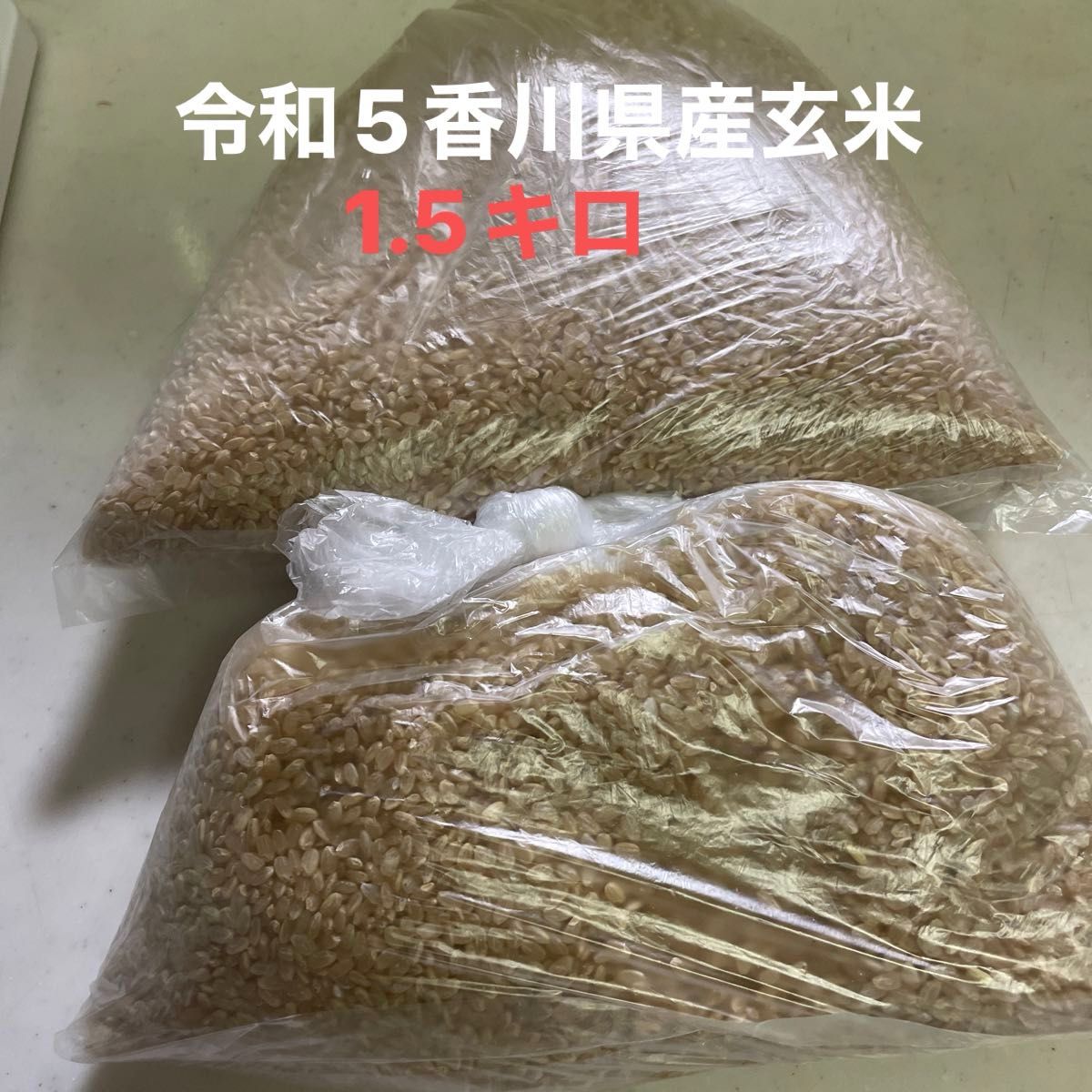 令和5年　玄米1.5キロ　コシヒカリ香川県産？