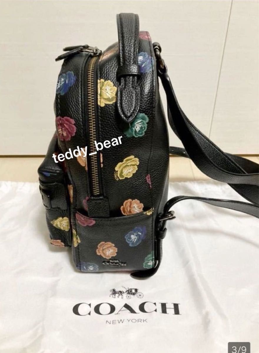 希少　レア　美品　コーチ　COACH  バックパック 23  ウィズ　ローズ　プリント　リュック  限定　レインボー　カラフル　花