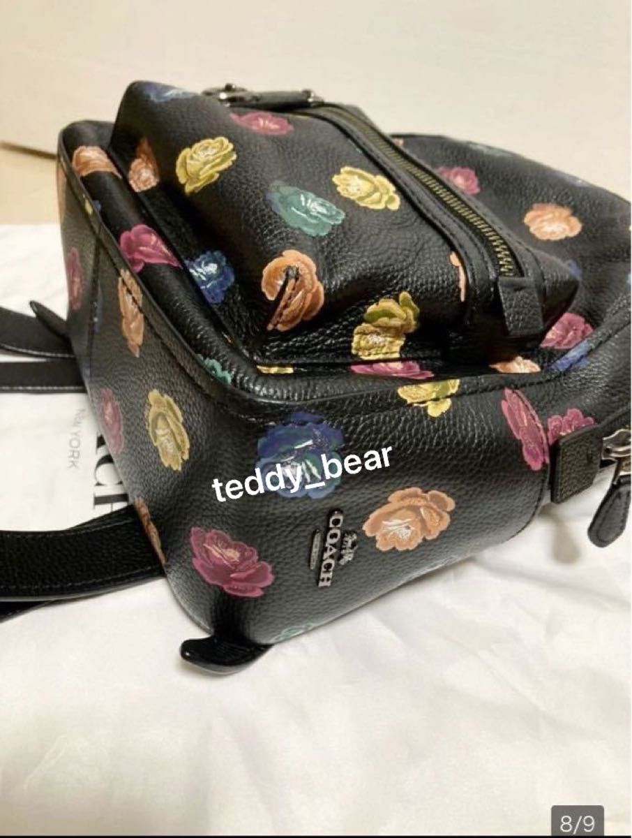希少 レア 美品 コーチ COACH バックパック 23 ウィズ ローズ 希少 レア 美品 コーチ COACH バックパック 23 ウィズ ローズ