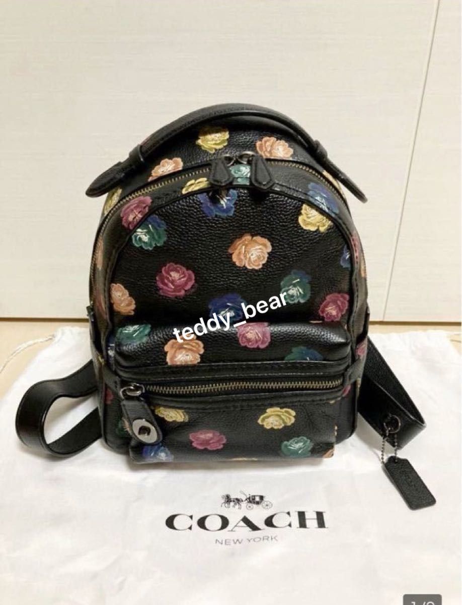 希少　レア　美品　コーチ　COACH  バックパック 23  ウィズ　ローズ　プリント　リュック  限定　レインボー　カラフル　花