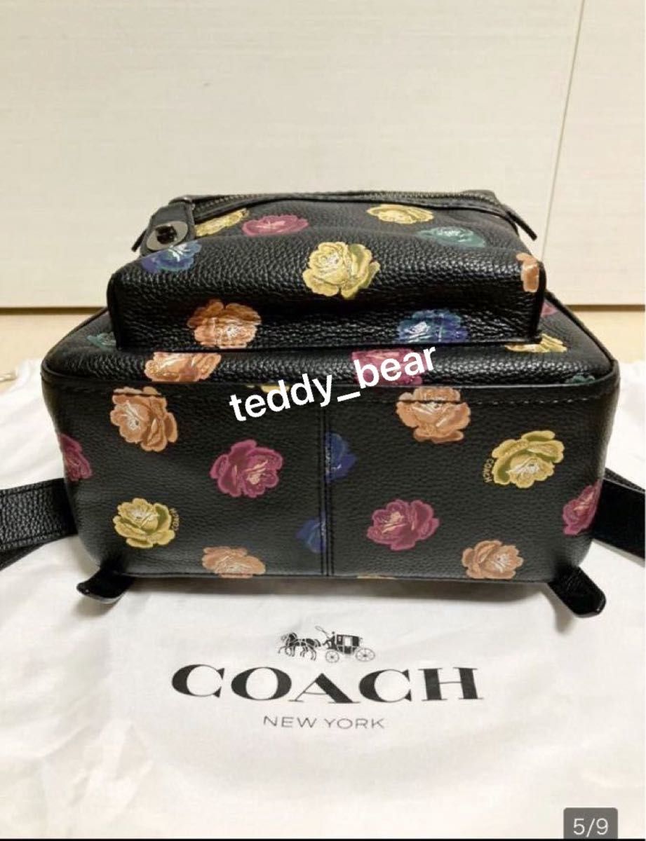 希少　レア　美品　コーチ　COACH  バックパック 23  ウィズ　ローズ　プリント　リュック  限定　レインボー　カラフル　花