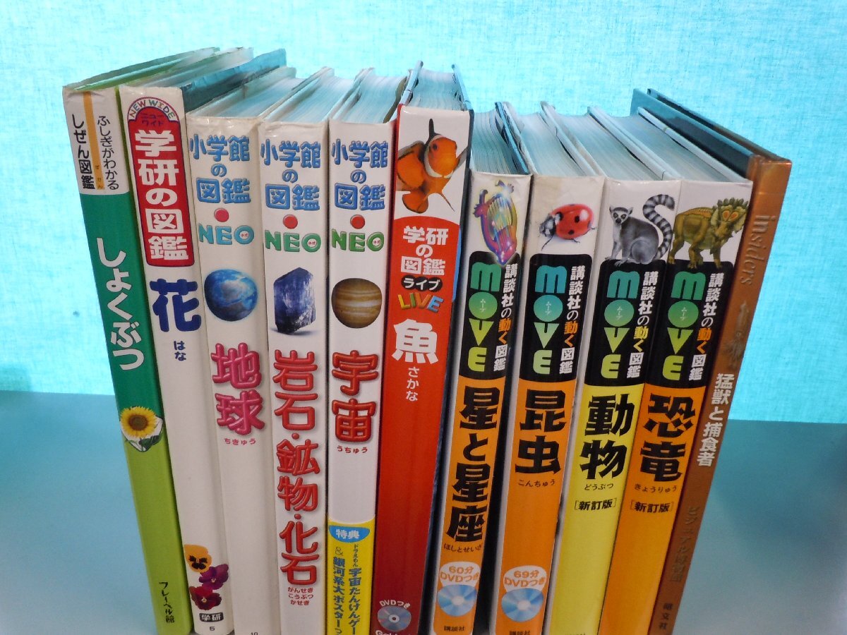 【図鑑】《まとめて11点セット》講談社の動く図鑑Move/学研の図鑑/LIVE/小学館の図鑑NEO/動物/恐竜/昆虫/地球 他_画像1