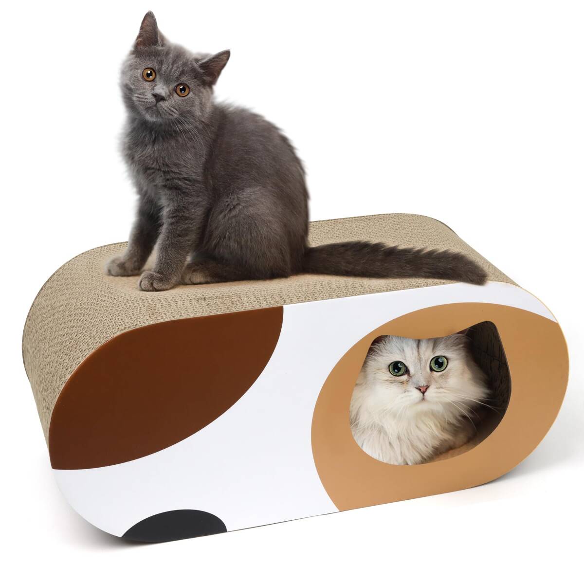  recommendation * one pcs .3 position, multifunction cat durability . excel . durability eminent compact te The i